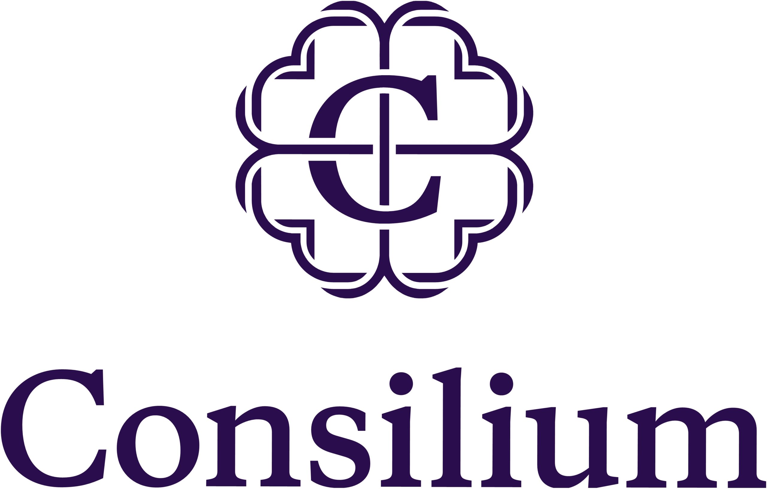 Consilium Logo scaled